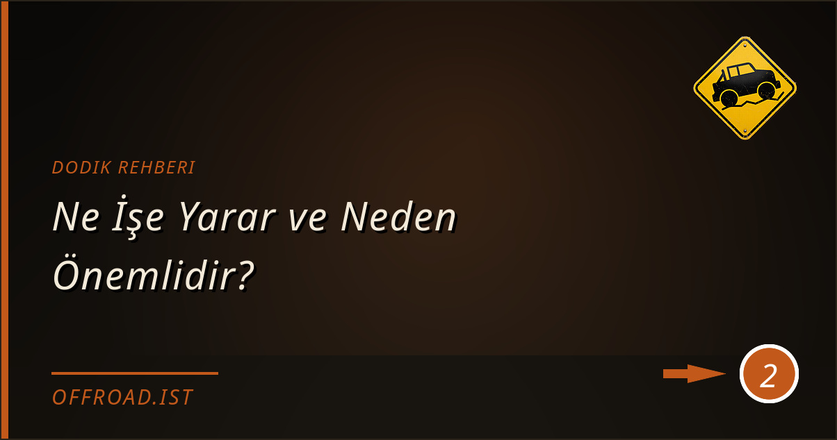 dodik rehberi - Ne İşe Yarar ve Neden Önemlidir?