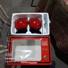 SALYANGOZ ÇAT ÇAT KORNA 12 VOLT OLAN HER ARACA UYUMLU