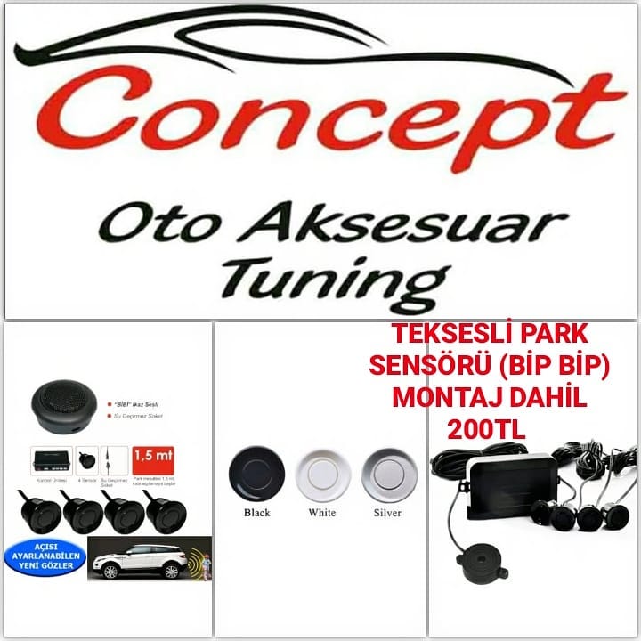 Voice parking